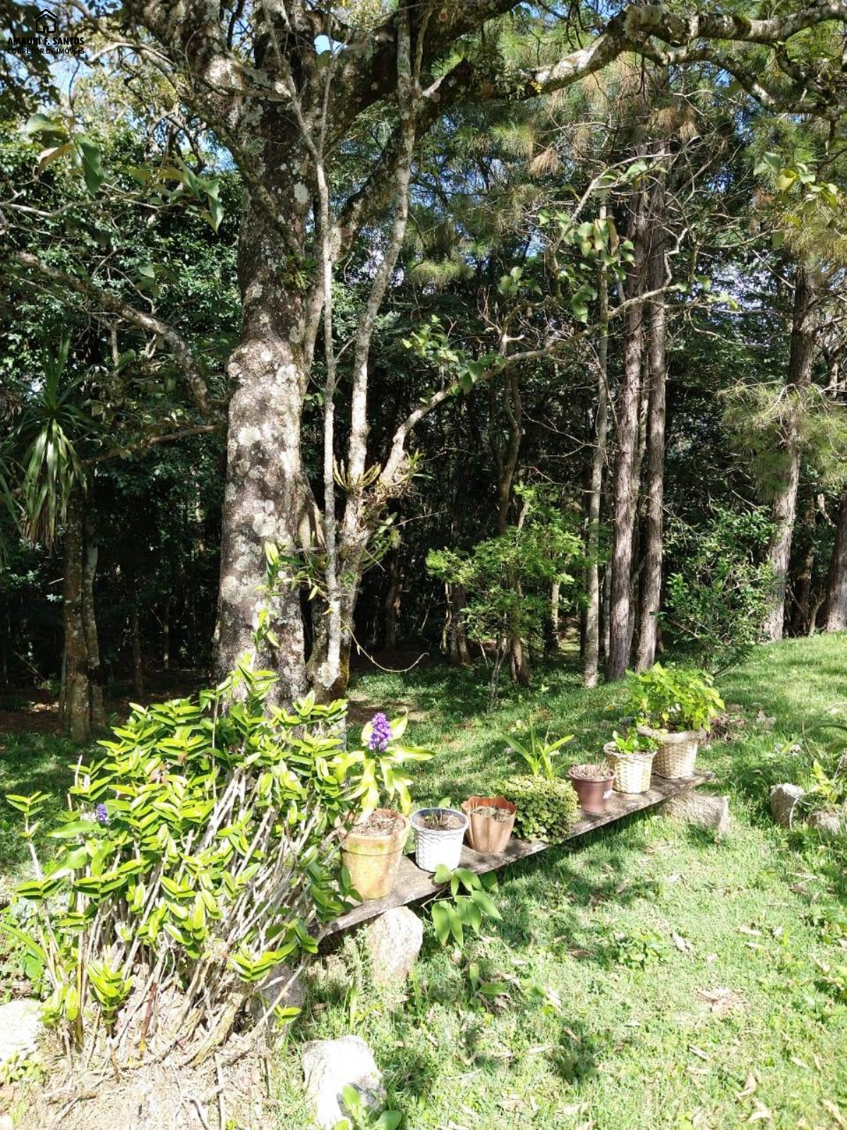 Chácara em , São Roque - Foto 28